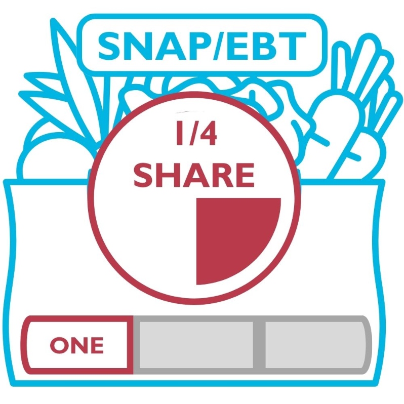 Product Description: Becauseof our partnership withDouble Up Food Bucks, EBT customersreceive 50% of their total share price andonly pay$10weekly on their Bridge Card. When checking out with this product, you are committing to paying for your share weekly during the selected season.</br></br>A Quarter share picks up a Half Share's worth of produce every other week. It fits one adult well or households who don't want to pick up veggies every week.</br></br>AOne Seasonshareselectsbetween any 12-week season:</br></br>Spring (April 16 -July 2)</br>Summer (July 9- September 24)</br>Fall (October 1- December 17).</br></br>Pickups are every Thursday from 12 - 6:30pmat our Farmhouselocation. Shareholders can expect 8-12 items each week. 3-6items will be staple items,and 3-5 items will be chosen during our Market Style pick up or via anonline form if Drive-Thru pick up is chosen. We also offer some items, like flower bouquets, for sale at pick-up. In addition, our Caféis open every day during pick up. The Café sells prepared soups and deli sides alongside the share, and it runs a pop-up restaurant from 4-7 pm with wood-fired pizzas, soups, and salads from the farm.</br></br>Visit ourFarm pageor ourFarm Frequently Asked Questions page foradditional information about how to select the right share for your household.</br> EBT One Season Quarter Share